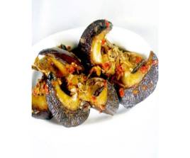 Peppered Snail